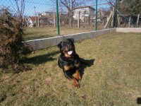 /album/fotogaleria/fotky-canon-274-jpg/